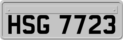 HSG7723