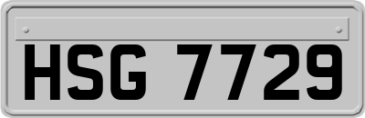 HSG7729