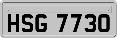 HSG7730