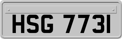 HSG7731