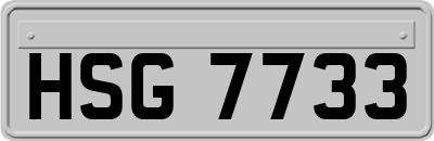 HSG7733