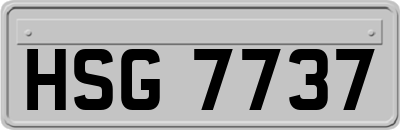 HSG7737