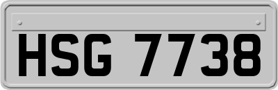 HSG7738