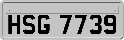 HSG7739