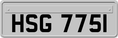 HSG7751