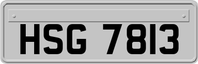 HSG7813