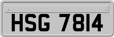 HSG7814