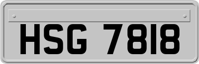 HSG7818