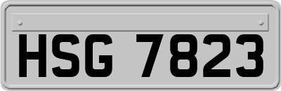 HSG7823