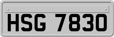 HSG7830