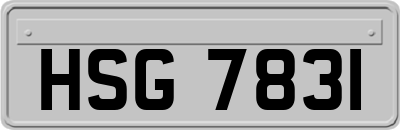 HSG7831