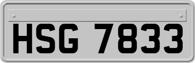 HSG7833