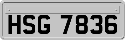 HSG7836