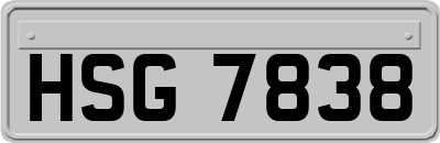 HSG7838