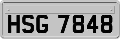 HSG7848