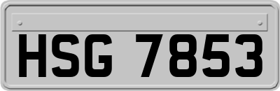 HSG7853