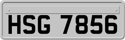 HSG7856