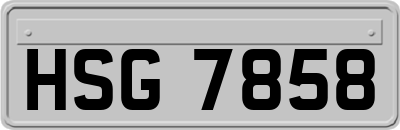 HSG7858