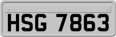 HSG7863