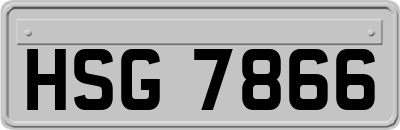 HSG7866