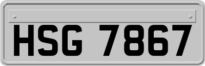 HSG7867