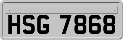 HSG7868