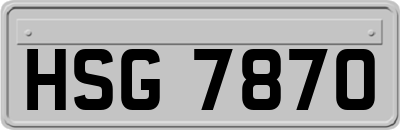 HSG7870