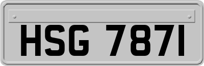 HSG7871