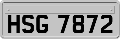 HSG7872