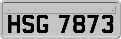 HSG7873