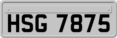 HSG7875