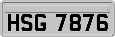 HSG7876