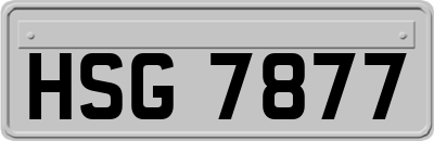HSG7877
