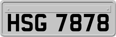 HSG7878