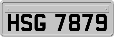 HSG7879