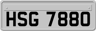 HSG7880