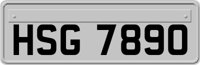 HSG7890