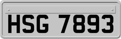 HSG7893