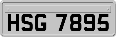 HSG7895