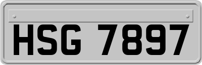 HSG7897
