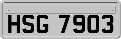 HSG7903
