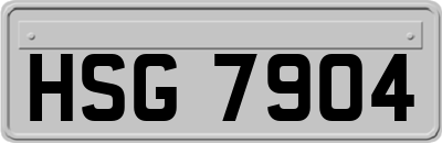 HSG7904