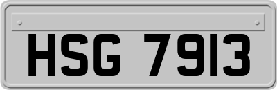 HSG7913
