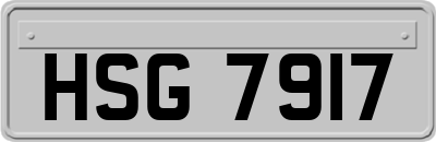 HSG7917