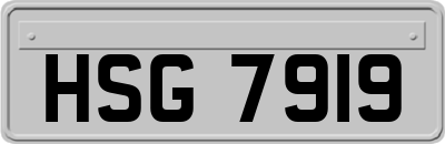 HSG7919
