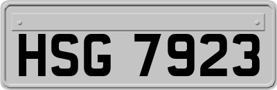 HSG7923