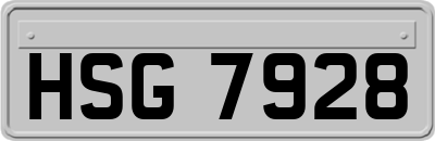 HSG7928