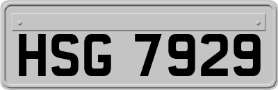 HSG7929