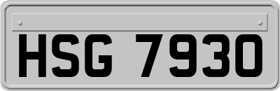 HSG7930