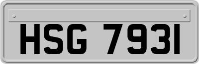 HSG7931